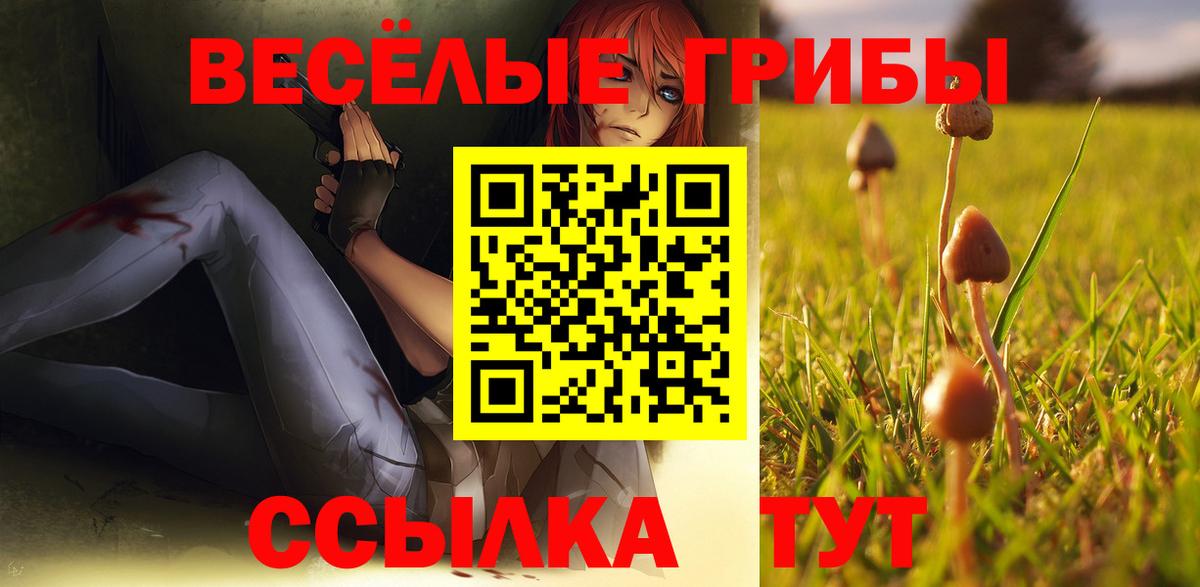 Галлюциногенные грибы мухоморы  Вход с VPN  Елабуга  Псилоцибиновые грибы прущие грибы 